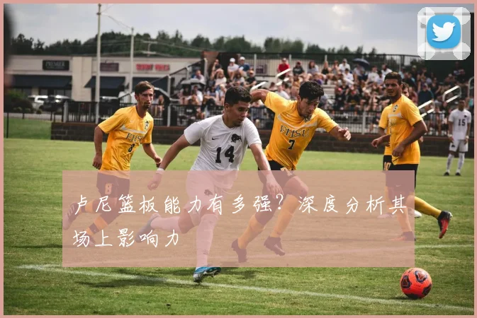 卢尼篮板能力有多强？深度分析其场上影响力